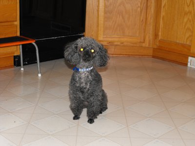 ./2009/Nigel/thumbnigel